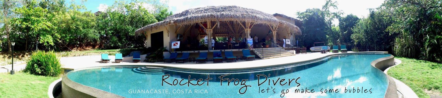 Our Shop Rocket Frog Divers Costa Rica