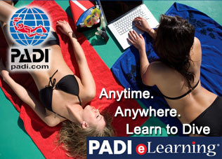 padi-elearning