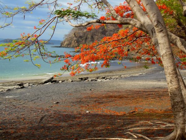 Playa Ocotal, Costa Rica