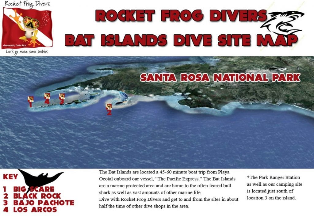 Bat Islands Costa Rica (Isla Murcielago) | Bull shark diving in Costa Rica