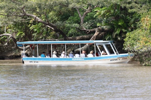 River Boat Tour