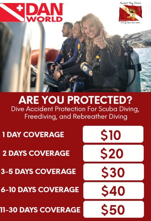 DAN Dive Insurance