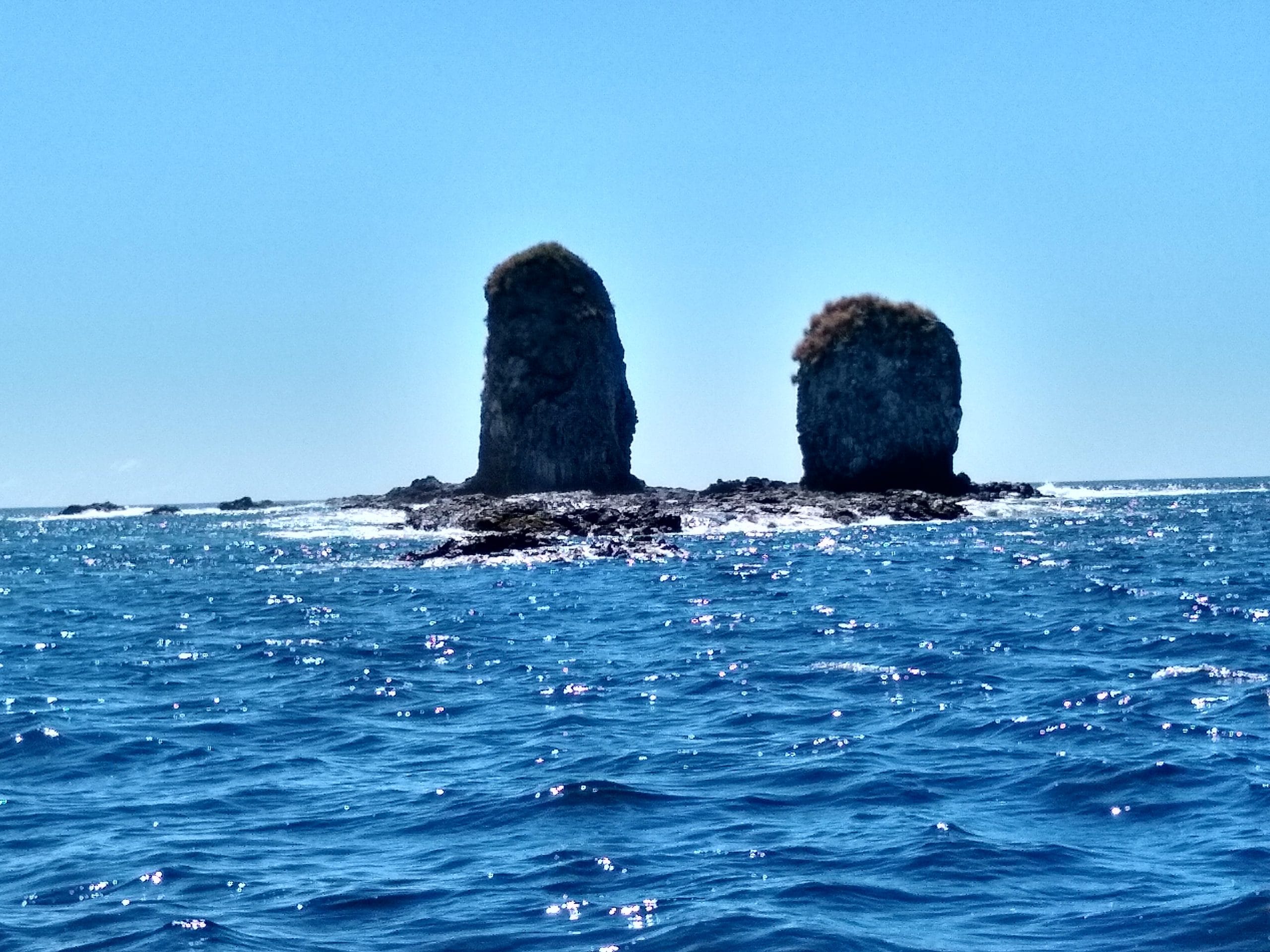 11/23/2019 Dos Sombreros