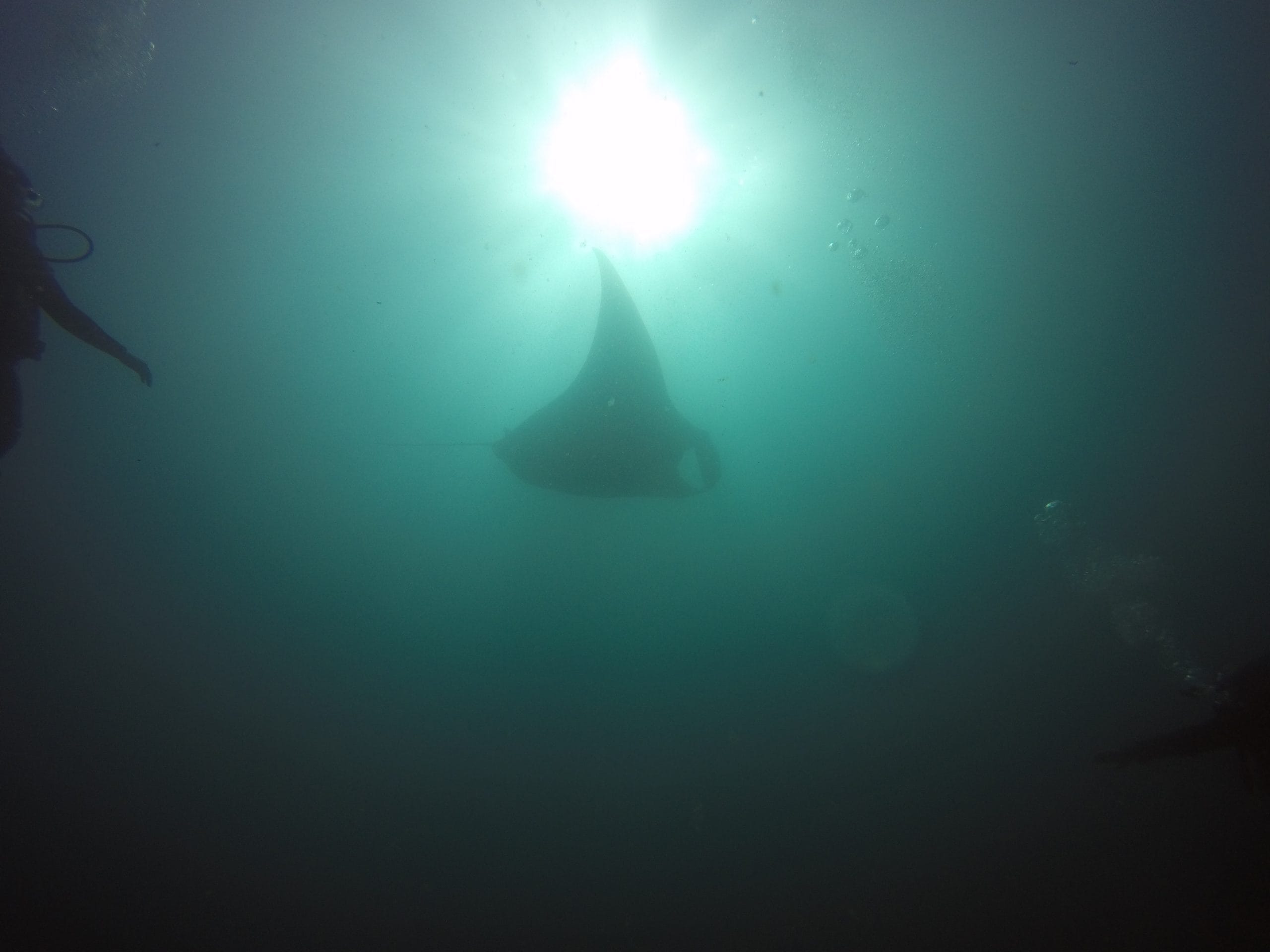 DCIM100GOPROGOPR6498.
