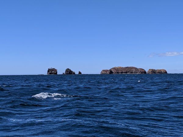 IMG_20200301_123626