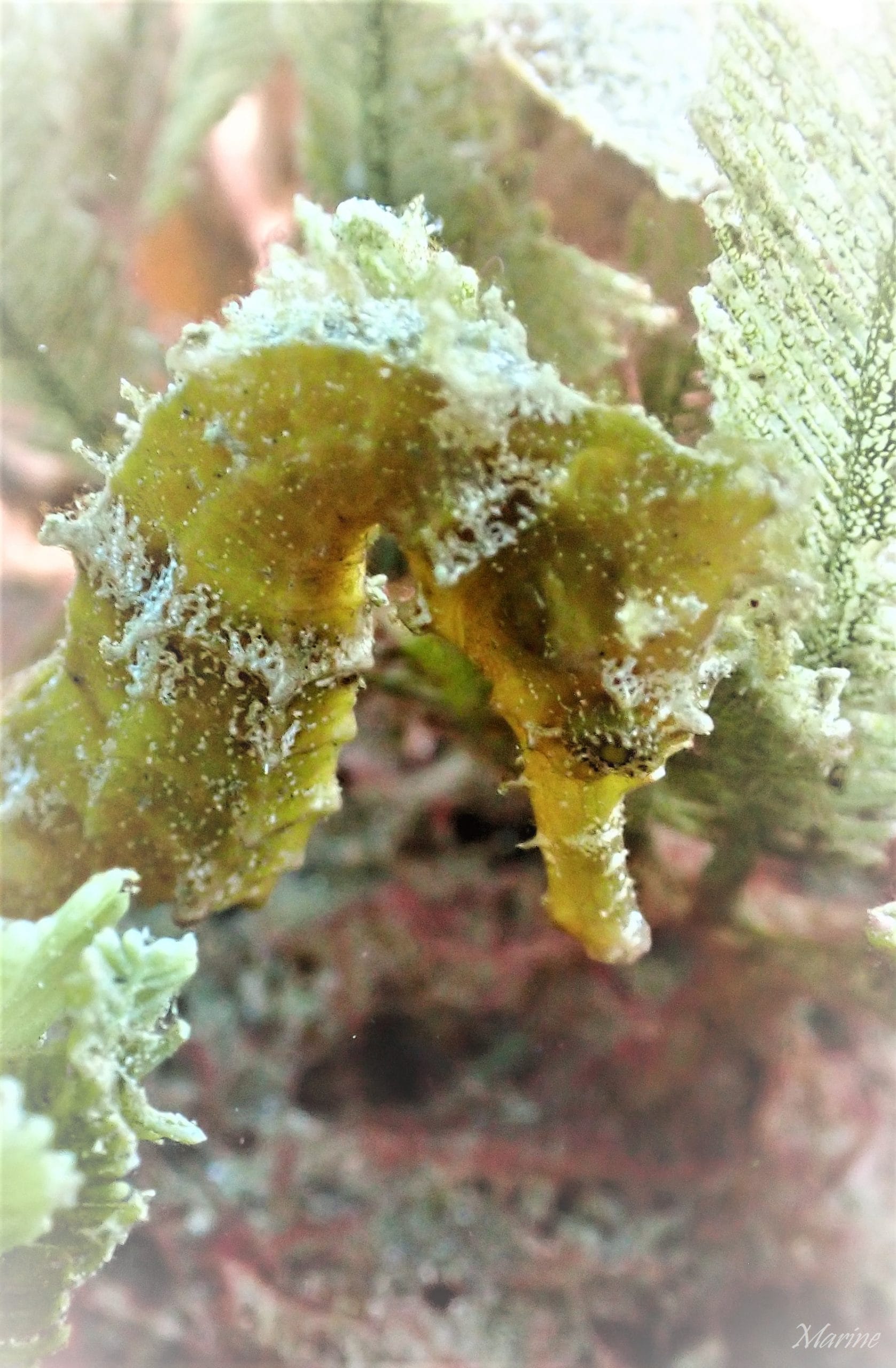 P5240359_GF