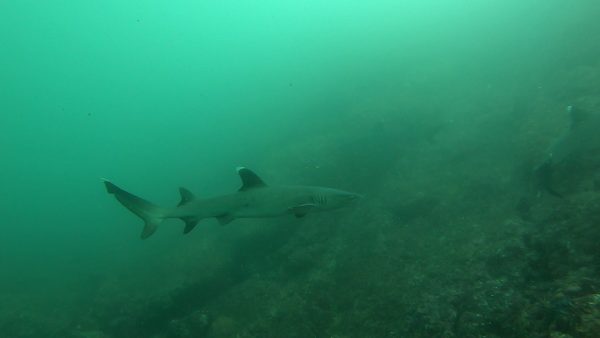 VideoCapture_20230119-181231