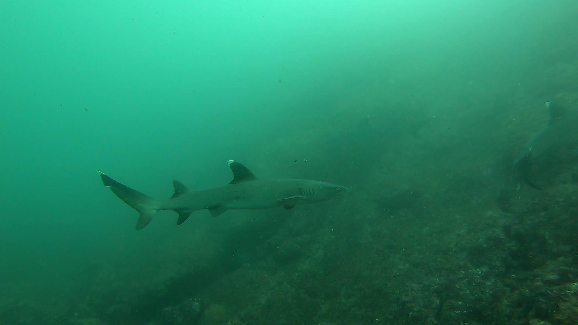 VideoCapture_20230119-181231