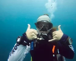 ellenrocketfrog ellenrocketfrog