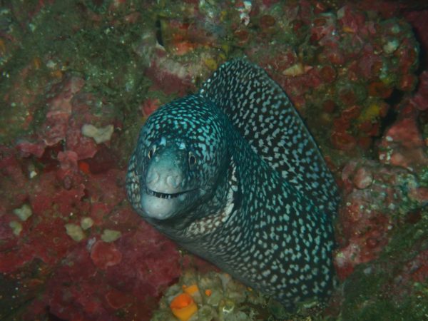 PC071940