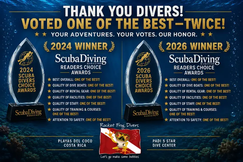 TripAdvisor Readers' Choice Award - Rocket Frog Divers, Costa Rica